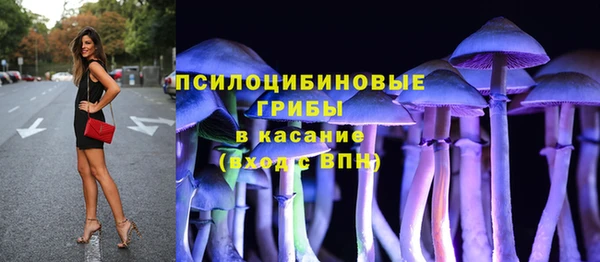 PSILOCYBIN Белоозёрский